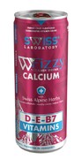 FIZZY Calcium 250ml