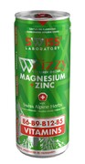 FIZZY Magnesium + Zinc 250ml